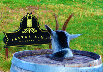 Jester King Art Photo